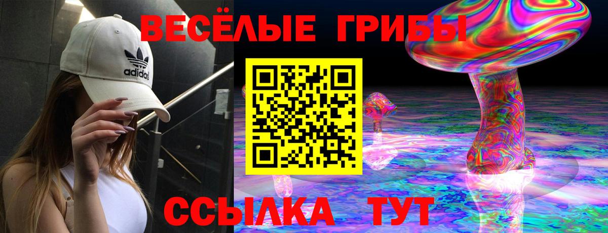 Галлюциногенные грибы мухоморы Тавда