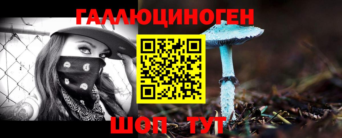 Галлюциногенные грибы MAGIC MUSHROOMS  Вход с VPN  Тавда  Галлюциногенные грибы Psilocybe 