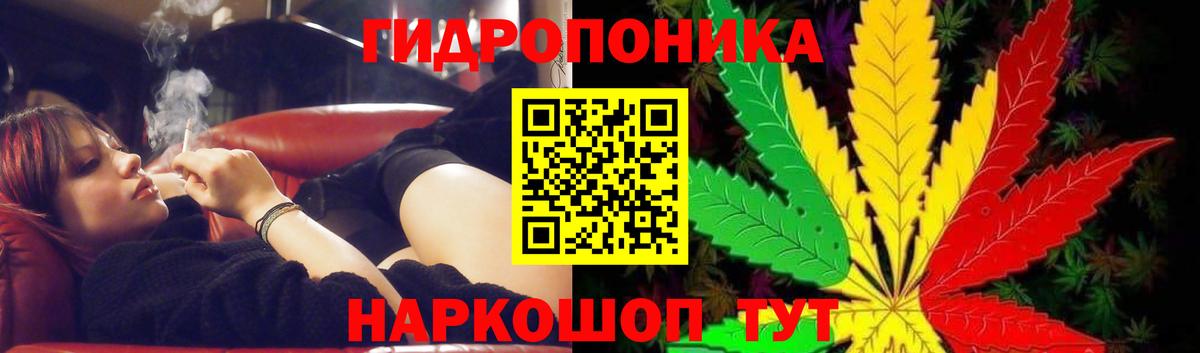 Бошки Шишки тримм Тавда