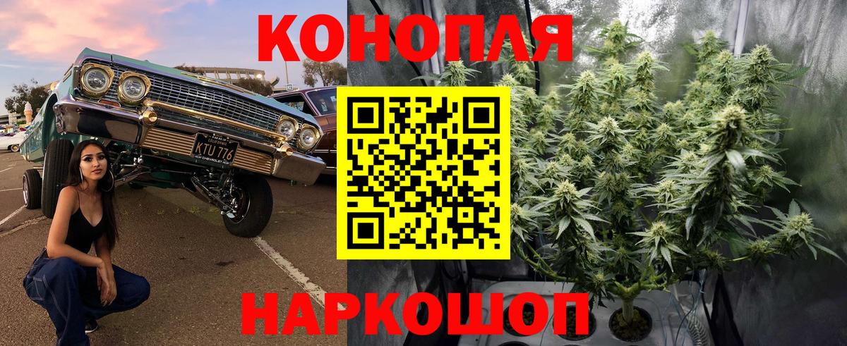 Бошки Шишки семена  Марихуана VHQ  Вход с VPN  МАРИХУАНА тримм  Тавда 